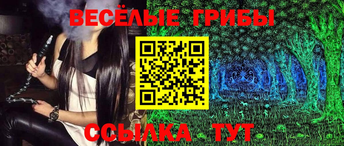 Галлюциногенные грибы ЛСД  Вход с VPN  купить наркотик  Нефтекумск 